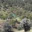 2174 SQM Land for sale in Agios Epifanios Oreinis, Nicosia thumbnail 7138792