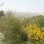 land for sale dora limassol 1194763 thumbnail 5570348