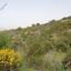 land for sale dora limassol 1194763 thumbnail 5570351