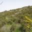 land for sale dora limassol 1194763 thumbnail 5570353
