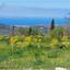 land for sale meladia paphos 1779763 thumbnail 5218713