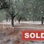 land sold anafotida larnaca 987763 thumbnail 927587