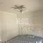 3 bedroom apartment for rent panthea limassol 1813863 thumbnail 14521470