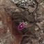 land for sale agrokipia nicosia 8274863 thumbnail 15155785