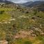 land for sale peyia paphos 1330863 thumbnail 2458850