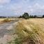 land for sale geroskipou paphos 8395963 thumbnail 14822601
