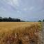 land for sale geroskipou paphos 8395963 thumbnail 14822604