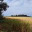 land for sale geroskipou paphos 8395963 thumbnail 14822607