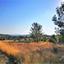 plot for sale shia nicosia 1150963 thumbnail 12670678