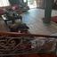 4 bedroom detached house for sale larnaca municipality larnaca 8434073 thumbnail 16190242