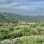 land for sale troodos limassol 1433073 thumbnail 14045784