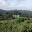 land for sale troodos limassol 1433073 thumbnail 14045786