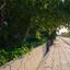 2 bedroom detached house for rent pervolia larnaca 8880173 thumbnail 17290639