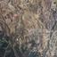 land for sale nikitari nicosia 1336273 thumbnail 9440773