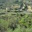 land for sale pachna limassol 1084273 thumbnail 15602079