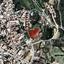 land for sale tsada paphos 7953273 thumbnail 15596609