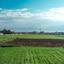 land for sale xylofagou larnaca 1662273 thumbnail 5670725