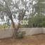 2 bedroom apartment for rent parekklisia limassol 1805373 thumbnail 14495398