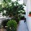 4 bedroom detached house for rent dekeleia larnaca 8791373 thumbnail 16674323