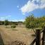4 bedroom detached house for sale moni limassol 7739373 thumbnail 10769882