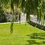 5 bedroom detached house for rent moniatis limassol 1148373 thumbnail 14867110
