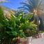 5 bedroom detached house for sale pervolia larnaca 8537373 thumbnail 15487122