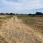plot for sale mazotos larnaca 1195373 thumbnail 5577862