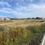 plot for sale mazotos larnaca 1195373 thumbnail 5577874