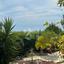 3 bedroom bungalow for sale kamares tala paphos 7514473 thumbnail 13854068