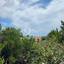 3 bedroom bungalow for sale kamares tala paphos 7514473 thumbnail 13854094