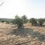 land for sale lythrodontas nicosia 1048473 thumbnail 15601969