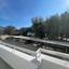3 bedroom apartment for sale potamos germasogeias limassol 1828573 thumbnail 6780464