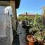 4 bedroom detached house for sale mitsero nicosia 1493573 thumbnail 5251315