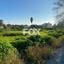 land for sale chlorakas paphos 1685573 thumbnail 10042245
