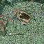 plot for sale agios dometios nicosia 8383573 thumbnail 14731152