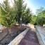 4 bedroom detached house for sale pissouri limassol 1736673 thumbnail 6002577