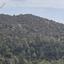 land for sale archimandrita paphos 1877673 thumbnail 15597043