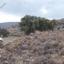 land for sale pentalia paphos 8630773 thumbnail 16278044