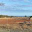 plot for sale mazotos larnaca 1526773 thumbnail 16120769