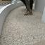 3 bedroom bungalow for rent anavargos paphos 8633873 thumbnail 16175852