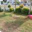 3 bedroom detached house for sale archangelos nicosia 1727873 thumbnail 5496197
