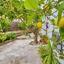 3 bedroom detached house for sale kritou tera paphos 7736873 thumbnail 10184352