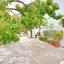3 bedroom detached house for sale kritou tera paphos 7736873 thumbnail 10184354