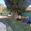 3 bedroom detached house for sale paphos municipality paphos 8945873 thumbnail 17692446