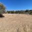 land for sale pyrgos limassol limassol 8468873 thumbnail 15197624