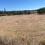 land for sale pyrgos limassol limassol 8468873 thumbnail 15197627
