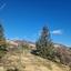 land for sale tsada paphos 8067873 thumbnail 13022228