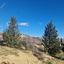 land for sale tsada paphos 8067873 thumbnail 13022229