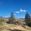 land for sale tsada paphos 8067873 thumbnail 13022230