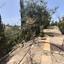 5 bedroom detached house for sale tala paphos 8592973 thumbnail 16431532